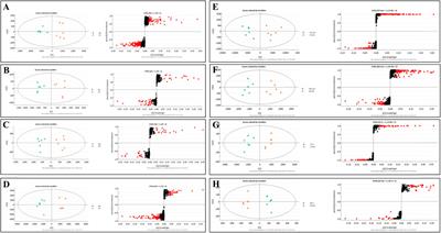 Metabonomic analysis of abnormal sphingolipid metabolism in rheumatoid arthritis synovial fibroblasts in hypoxia microenvironment and intervention of geniposide